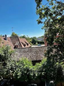 un groupe de maisons arborées et un bâtiment dans l'établissement Appartement de charme alsacien, centre historique, à Sélestat