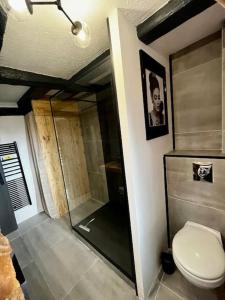 uma casa de banho com um WC e uma cabina de duche em vidro. em Appartement de charme alsacien, centre historique em Sélestat