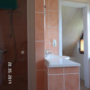 uma casa de banho com um lavatório e um chuveiro em Darssblick em Fuhlendorf