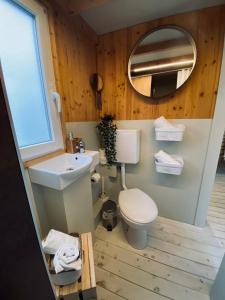 a bathroom with a toilet and a sink and a mirror at Tiny House Werse im PIER9 Tiny House Hotel in Hamm