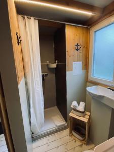 a bathroom with a shower and a sink at Tiny House Werse im PIER9 Tiny House Hotel in Hamm