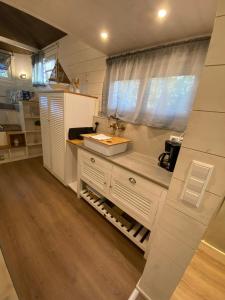 eine Küche mit einer Theke und einem Waschbecken in einem Zimmer in der Unterkunft Tiny House Ems im PIER9 Tiny House Hotel in Hamm