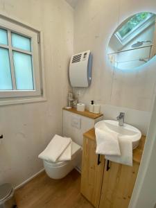 ein Badezimmer mit einem Waschbecken, einem WC und einem Spiegel in der Unterkunft Tiny House Lippe im PIER9 Tiny House Hotel in Hamm