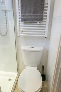 uma casa de banho com um WC, um chuveiro e uma toalha em Riverside Chalet in heart of Lampeter, West Wales em Lampeter