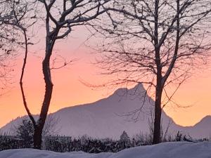 a sunset with two trees and a mountain in the background at Ferienwohnung Paul in Bad Reichenhall
