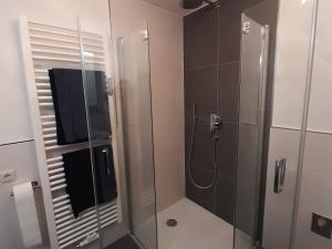 a bathroom with a shower with a glass door at Ferienwohnung Paul in Bad Reichenhall