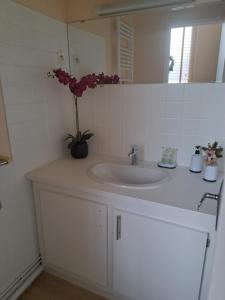 La salle de bains est pourvue d'un lavabo et d'un vase de fleurs. dans l'établissement Appartement F2 Le Puy-de-Dôme, à Châtel-Guyon