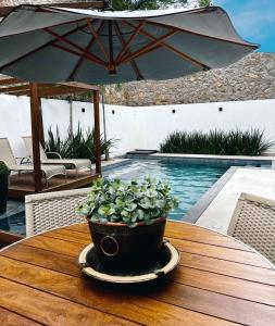 フロリアノポリスにあるCasa moderna com piscina em Floripa - caminho das praiasの鉢植え