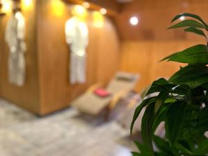 Lázně a/nebo wellness v ubytování Hotel Ambiente
