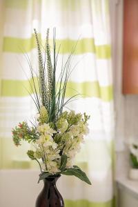 a vase filled with white flowers and grass at Dreamy Apartments Corfu in Kontokali