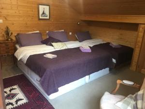 Zwei Betten in einem Holzzimmer mit lila Laken in der Unterkunft Chalet Esprit in Morillon