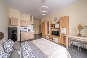 1 dormitorio grande con 1 cama y cocina en Grizinkalns residence with free parking, en Riga
