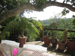 Fotografie z fotogalerie ubytování Utopia in Africa Guest Villa v destinaci Nelspruit