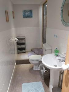 uma casa de banho com um WC e um lavatório em Relaxing Retreat on the edge of the Cotswolds em Kingswood
