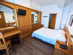 TV a/nebo společenská místnost v ubytování Hotel Cova