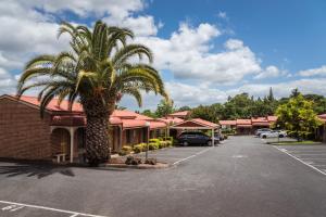 a palm tree in a parking lot in front of a motel at Yarra Valley Motel in Lilydale