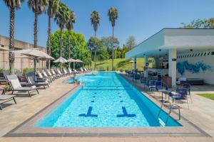 a swimming pool with chairs and palm trees at Pullman Sao Paulo Guarulhos Airport in Guarulhos