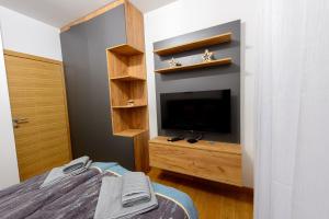 Apartman Šišarka Divčibare電視和／或娛樂中心