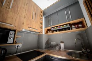 Apartman Šišarka Divčibare廚房或簡易廚房