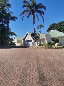 a palm tree in front of a house at Linda's Margate Place 7 Lyndhurst in Margate