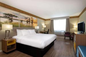 a hotel room with a bed and a television at Days Inn by Wyndham Mountain Home in Mountain Home