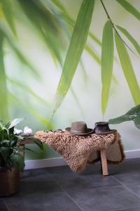 Gallery image of B&B Hieris't in Hoofdplaat +44 photos