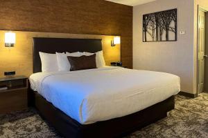 a large bed in a hotel room at Maine Evergreen Hotel, Ascend Hotel Collection in Augusta