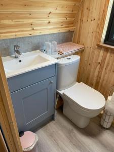 Habitación de madera con baño con aseo y lavabo. en Glamping Pods, en Milngavie