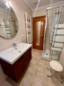 een badkamer met een wastafel, een douche en een spiegel bij Piso Cordon Centro Historico ATUAIRE in Burgos