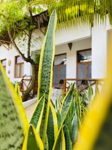 Ein Garten an der Unterkunft Babalao Bungalows