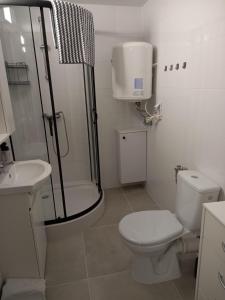 W łazience znajduje się prysznic, toaleta i umywalka. w obiekcie Agroturystyka Yvonne w Zawoi