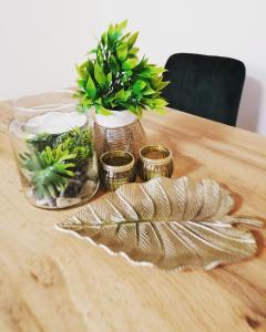 Fotografia z galérie ubytovania Apartament widokowy u Majerczyków v destinácii Stozh