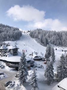 a ski resort covered in snow with a ski slope at Splendid View Place in Jahorina