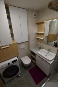 a small bathroom with a sink and a toilet at Splendid View Place in Jahorina +23 photos