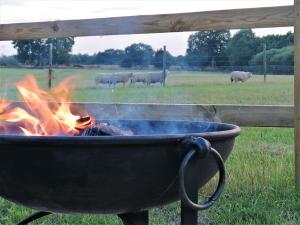 a grill with a fire and sheep in a field at The Huddle at Big Sky Brisley in Brisley