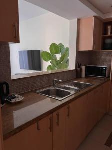 a kitchen counter with a sink and a plant on the wall at Huge terrace with canal view & hotels beach access available in Dubai