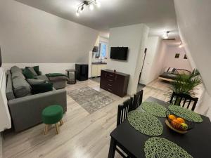 TV a/nebo společenská místnost v ubytování Apartmány Foresta Jasná + 21 fotografií