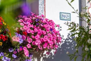 a hanging basket of pink and purple flowers next to a sign at Garni Bondi in Selva di Val Gardena
