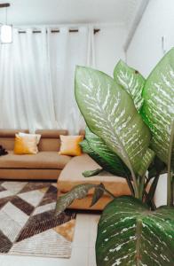 a living room with a couch and a large plant at Two bedroom Apartment in Oyster Bay in Dar es Salaam