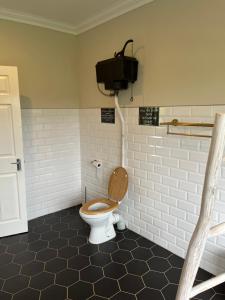 a bathroom with a toilet and a tv on the wall at Cabbage Cottage in Lidgetton