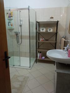 a bathroom with a glass shower and a sink at Apartman Carpe Diem in Sutomišćica