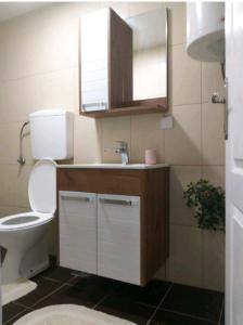 ein Badezimmer mit einem WC, einem Waschbecken und einem Spiegel in der Unterkunft Apartman Ristić in Banja Koviljača