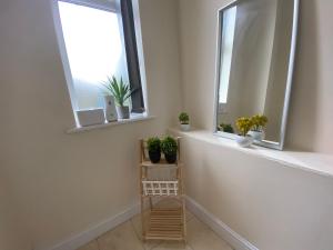 ein Zimmer mit zwei Fenstern und einem Regal mit Topfpflanzen in der Unterkunft Cosy studio apartment - recently renovated! in Mansfield