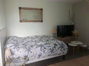 a bedroom with a bed and a flat screen tv at Studio à 10 minutes de l'océan in Saint-André-de-Seignanx