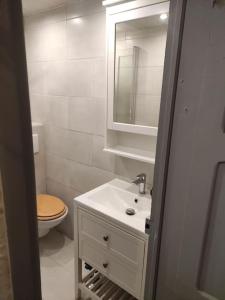 bagno con lavandino, servizi igienici e specchio di Superbe appartement refait à neuf a Saint-Martin-Vésubie