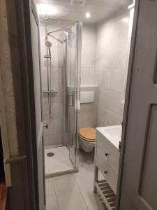 e bagno con doccia, servizi igienici e lavandino. di Superbe appartement refait à neuf a Saint-Martin-Vésubie