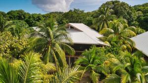 - une vue aérienne sur une maison entourée de palmiers dans l'établissement Hummingbird Beach House, à West Bay