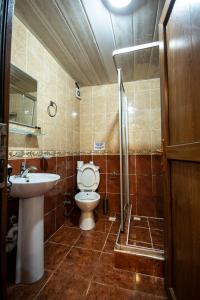 伊斯坦堡的住宿－Sultanahmet Black Pearl Apart Hotel，浴室配有卫生间、盥洗盆和淋浴。