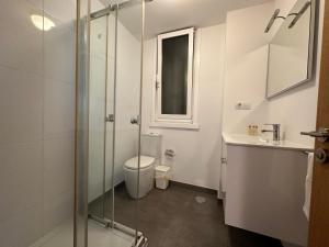 W łazience znajduje się toaleta i przeszklony prysznic. w obiekcie Oktheway Santander Street w mieście A Coruña