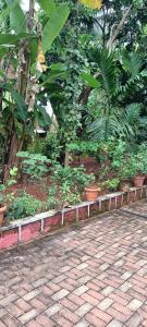 um jardim com plantas e árvores e uma estrada de tijolos em Tavaru home stay em Ankola